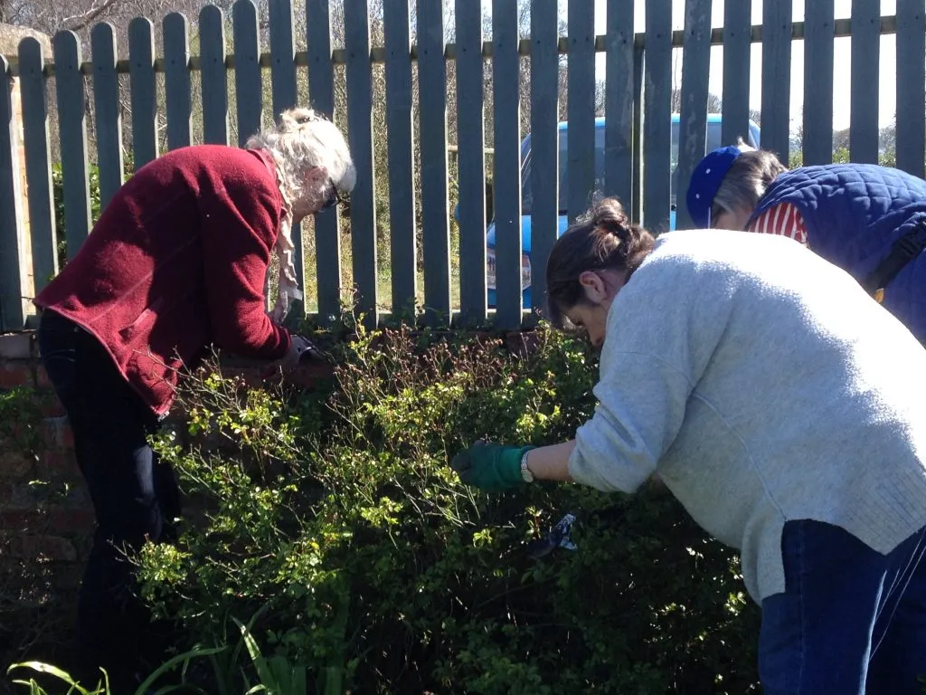 A group of women learning the art of rose pruning during Kristian's practical gardening workshop