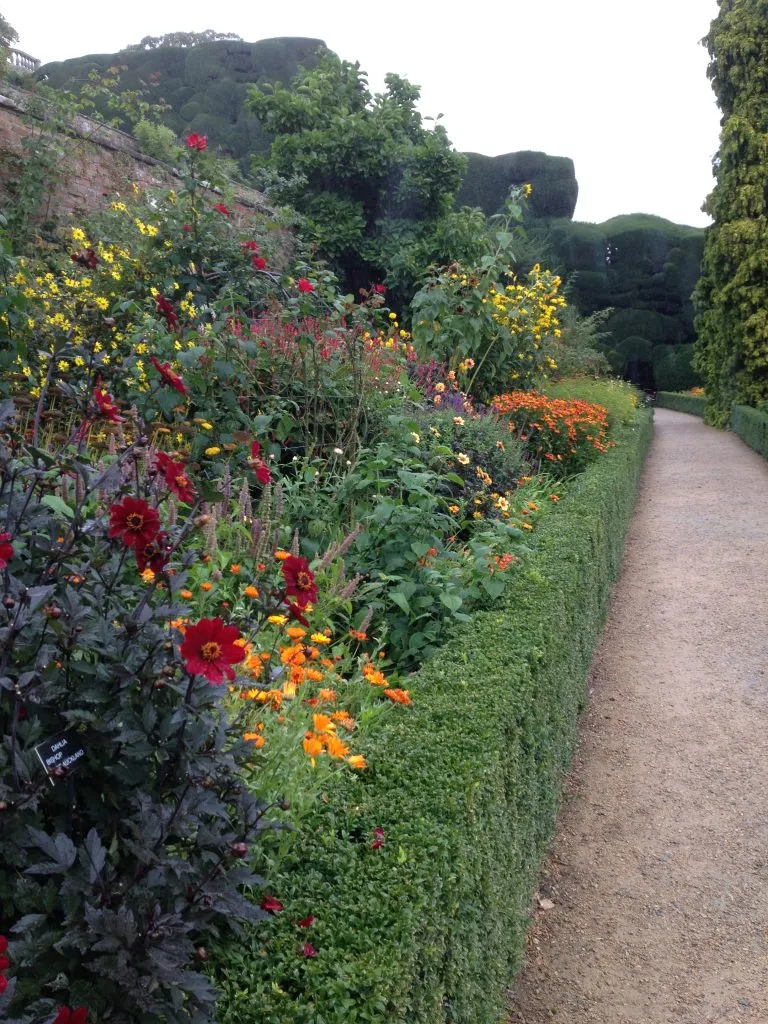 Looking down the colourful border at Powis Castle Gardens