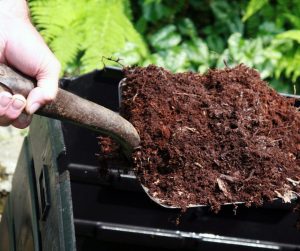 Composting for beginners often means creating a compost heap. The image shows a gardener emptying fine ready to use compost from a composting bin.